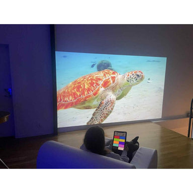 child watching a projection of a turtle with the TFH ChromaTheme 