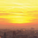 TFH ChromaTheme PLUS projector theme yellow, nature and cultures