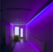 TFH Genie Color Wash Kits in room with purple lighting with sensory bed