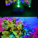 TFH Vecta Budii Mobile Sensory Station projecting an image of a vivid coral reef to a dark floor