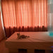 Cat lying on TFH Waterbed with Platform in a room with orange curtains